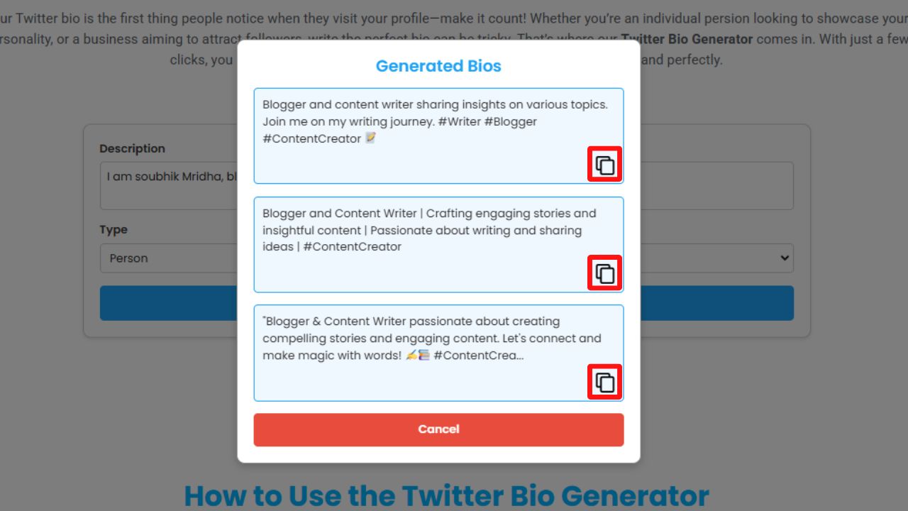 How to Use the Twitter Bio Generator​ step 3